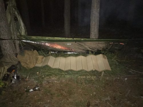 1.4.0. B-rdy Survival Basics Course