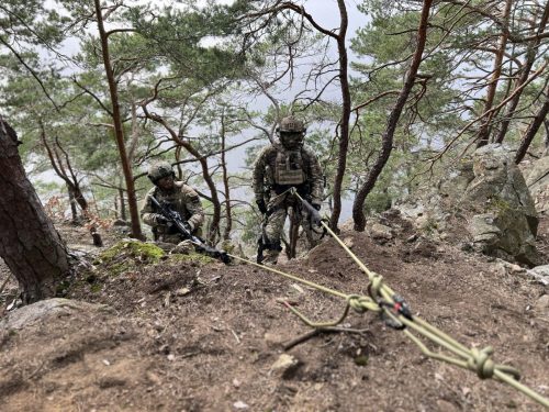 1.5.2. B-rdy Tactical Rappelling Outdoor Course